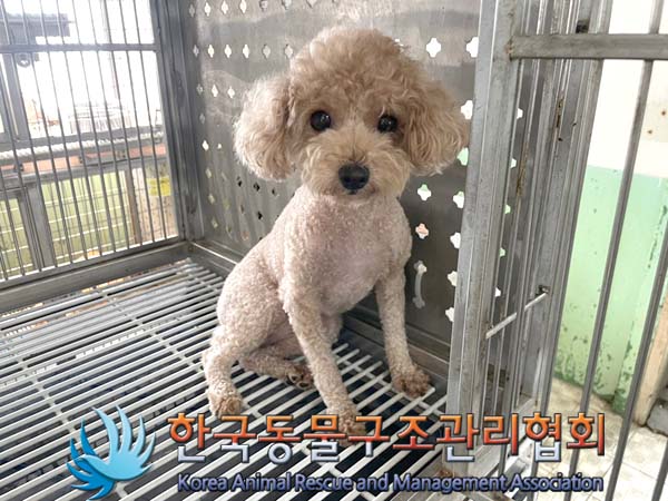 한국동물구조관리협회_411323202400845